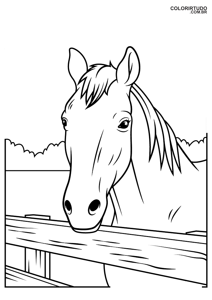 32 Desenho Cavalos para Colorir e Imprimir - Colorir Tudo