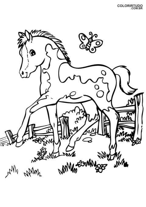 desenho de cavalinho bebe para colorir