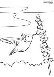 Verschiedene Tiere zum Ausmalen