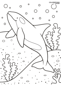 Coloriages d'animaux marins