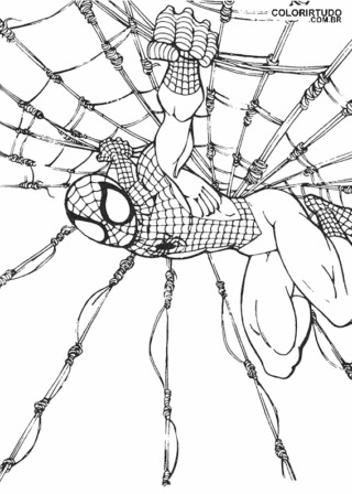 Araña para colorear