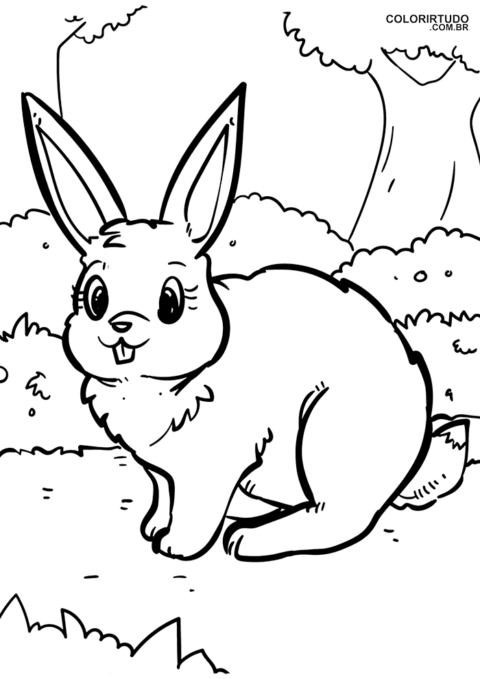 Desenho De Coelho Para Pintar E Imprimir