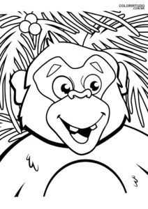 Dibujo de mono para colorear
