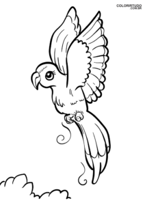 Bird Drawing To Color
