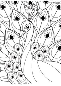 Dessin de paon à imprimer