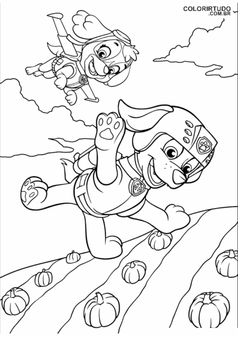 Skye Patrulha Canina Colorir