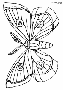 Borboleta Desenho Imprimir