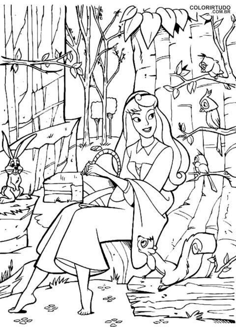 Desenho Bela Adormecida Na Floresta