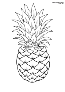 Pineapple Drawing To Color