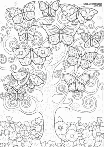Coloriage d'ailes de papillon