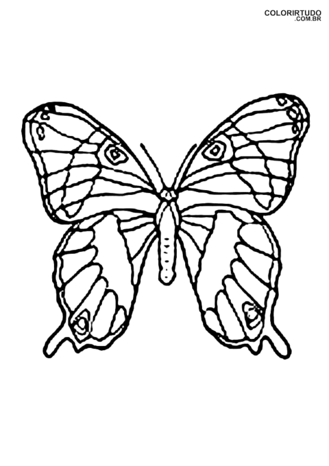 Desenho Para Colorir De Flores E Borboletas