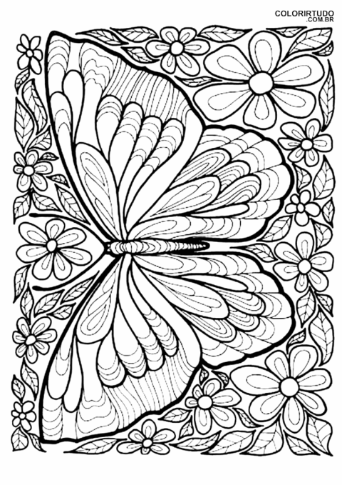 Desenhos Coloridos De Borboletas E Flores