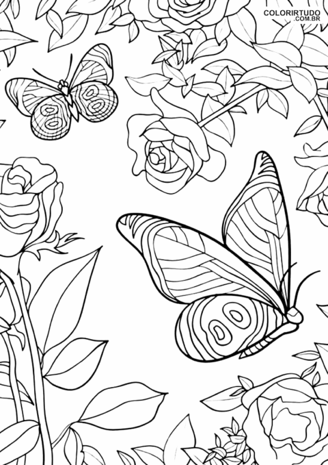 Desenhos Para Colorir E Imprimir Flores E Borboletas