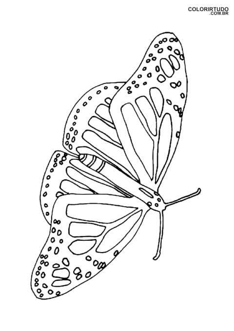 Desenhos Para Pintar Borboletas E Flores