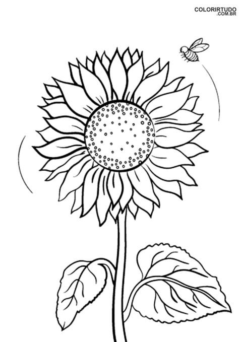 Girassol Para Imprmir