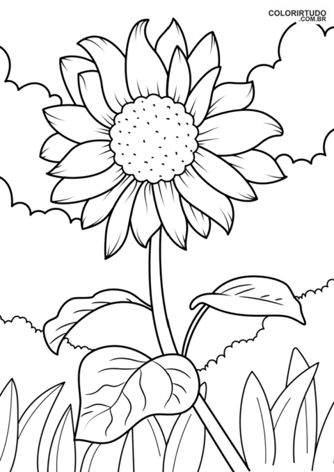 Girassol Para Pintar