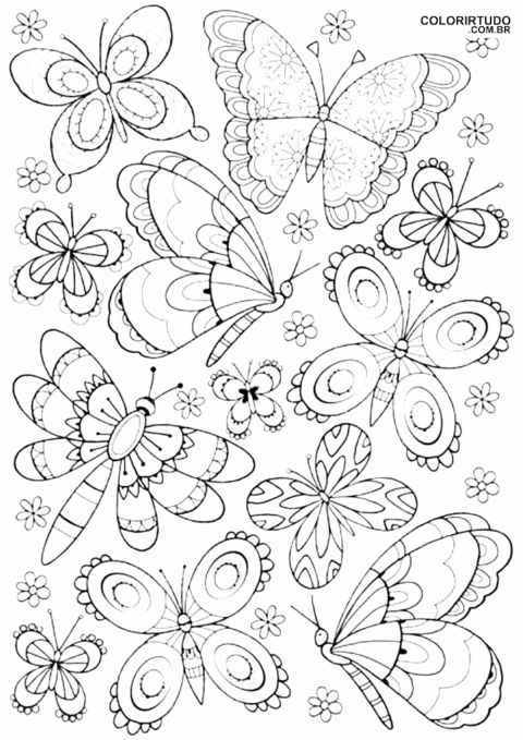 나비 이미지를 색으로