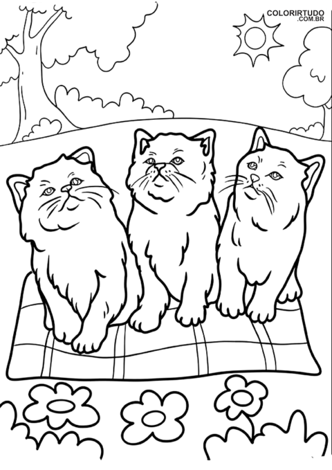 Imagens De Gatinhos Para Imprimir
