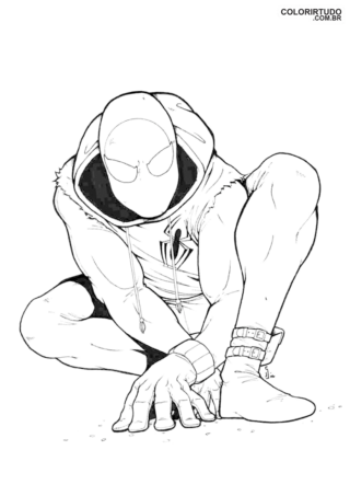 Imagen de Spiderman más allá del Spider-Verse para imprimir