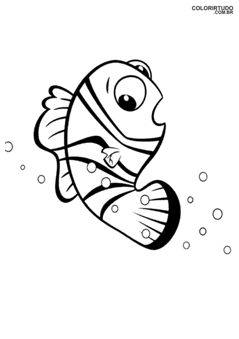 Nemo Colorir
