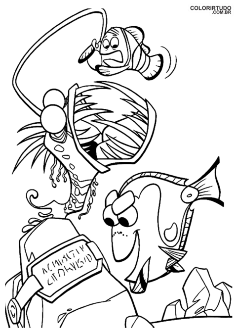 Procurando Nemo Para Colorir